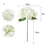 Hortensias pour décorations florales de cérémonie