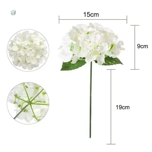 Hortensias pour décorations florales de cérémonie