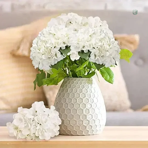 Hortensias pour embellir les chaises de cérémonie