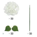 Fleurs d'hortensias blanches pour mariage