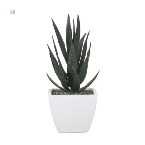 Aloe Vera artificiel en pot, petite plante décorative