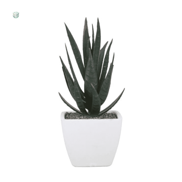 Aloe Vera artificiel en pot, petite plante décorative