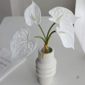 Bouquet d'anthuriums colorés pour décoration intérieure