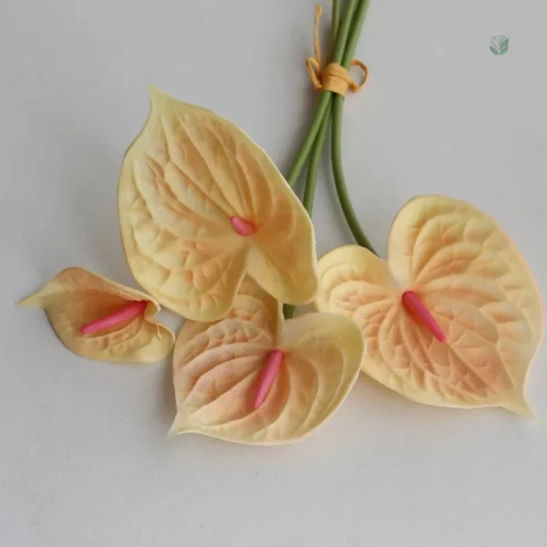 Anthuriums en arrangement floral pour événements