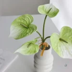 Anthuriums décoratifs en fleurs synthétiques