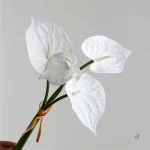 Arrangement floral d'anthuriums pour maison moderne