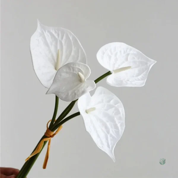 Arrangement floral d'anthuriums pour maison moderne