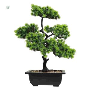 Plante Bonsaï en plastique, entretien facile et esthétique moderne