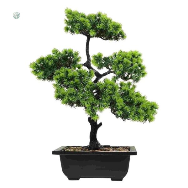Plante Bonsaï en plastique, entretien facile et esthétique moderne