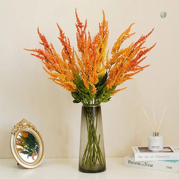 Astilbe de Chine en fleurs vibrantes