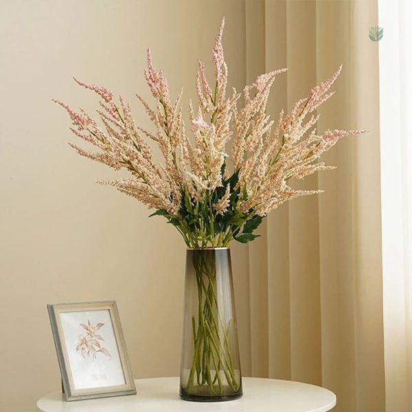 Astilbe de Chine, parfaite pour zones ombragées