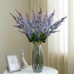 Astilbe de Chine avec feuillage luxuriant