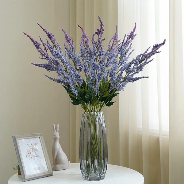 Astilbe de Chine avec feuillage luxuriant