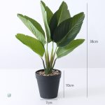 Plante d'intérieur réaliste et sans entretien