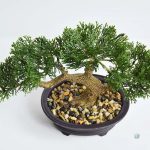 Bonsaï déco artificiel pour intérieur élégant