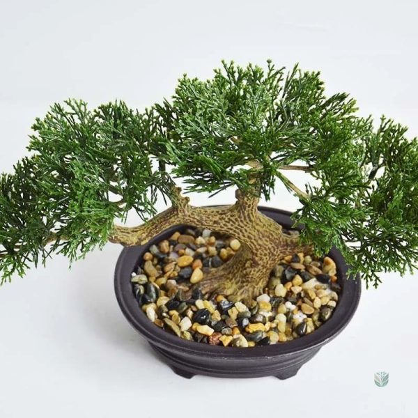 Bonsaï déco artificiel pour intérieur élégant