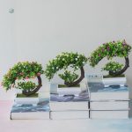Bonsaï décoratif pour maison