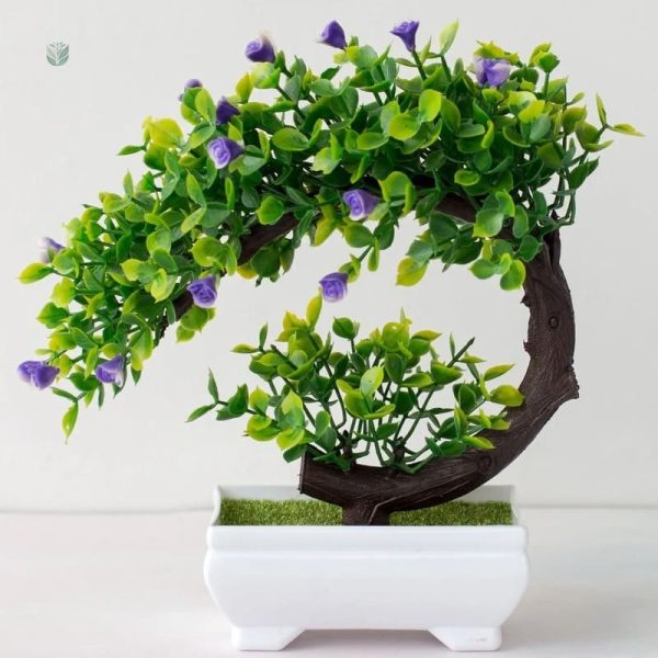 Plante d'intérieur bonsaï faux