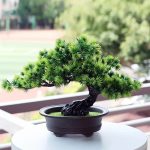 Bonsaï artificiel avec feuillage vert naturel