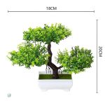 Bonsaï Sakura, élégance naturelle sans entretien nécessaire
