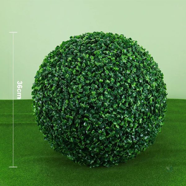 Plantes en Boules de Buis pour aménagement extérieur