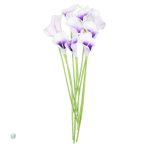 Arrangement d'Arum blanc, élégance pour toutes occasions