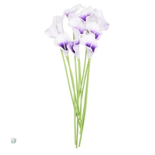 Arrangement d'Arum blanc, élégance pour toutes occasions