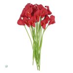 Composition florale d'Arum pour embellir votre espace