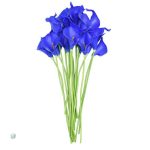 Bouquet d'Arum moderne, ajout raffiné à votre décor