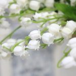 Muguet Artificiel, symbole de bonheur et de chance
