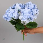 Hortensias en arrangement, éclat de couleurs