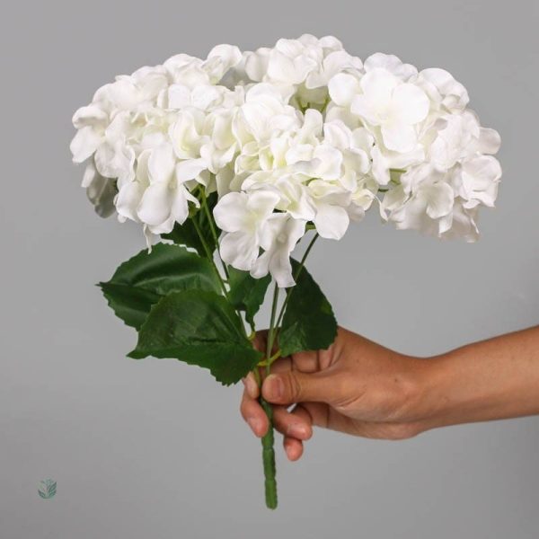 Arrangement floral d'hortensias pour décoration intérieure