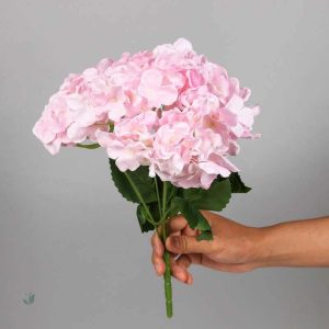Bouquet d'hortensias colorés, touche d'élégance