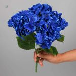 Bouquet d'hortensias, fleurs éternelles pour décoration