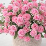 Bouquet d'Œillets en différentes teintes pour décoration