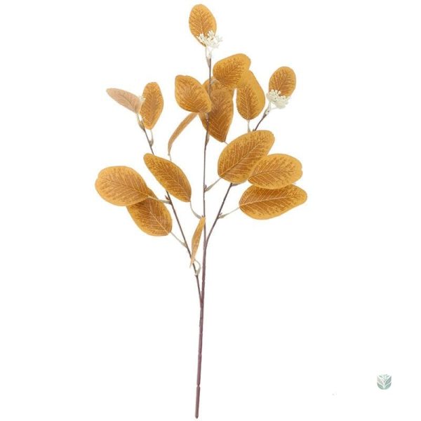 Feuilles d'Eucalyptus en décoration