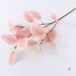 Bouquet d'Eucalyptus pour intérieur
