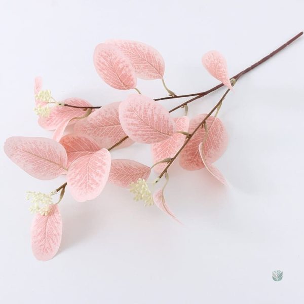 Bouquet d'Eucalyptus pour intérieur