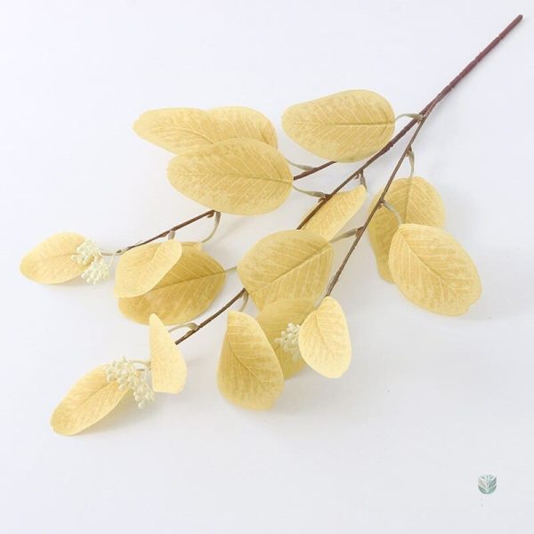 Décor floral avec Eucalyptus