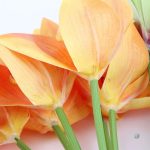 Orchidées artificielles en bouquet pour toutes occasions