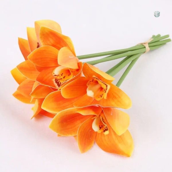 Composition d'orchidées pour embellir un espace