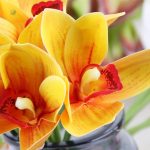 Bouquet d'orchidées décoratives à la maison