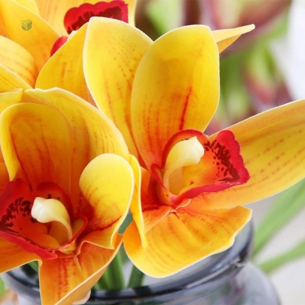 Bouquet d'orchidées décoratives à la maison