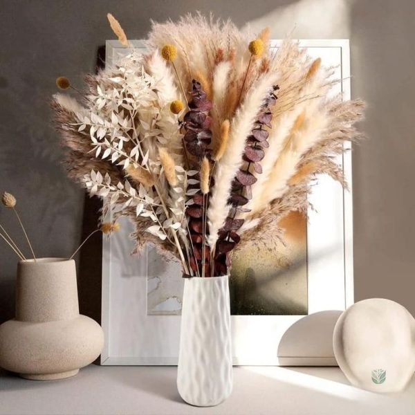 Bouquet d'herbes Pampa pour décoration intérieure
