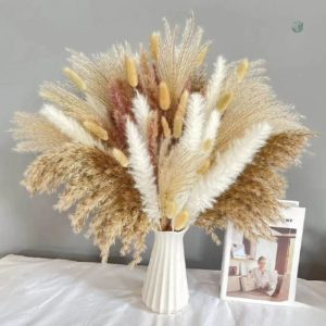 Pampa Artificielle pour embellir votre espace