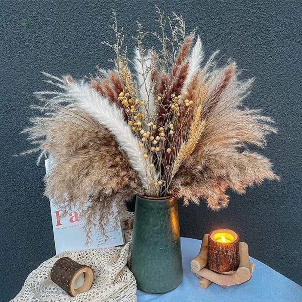 Fleurs Pampa artificielles, style moderne et chic