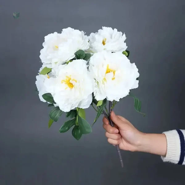 Pivoines de Chine pour décoration intérieure