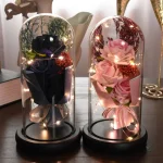 Roses éternelles présentées sous une cloche élégante