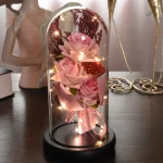 Bouquet de roses préservées sous une cloche décorative