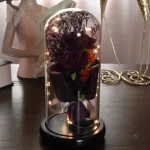 Roses sous cloche, symbole d'amour durable